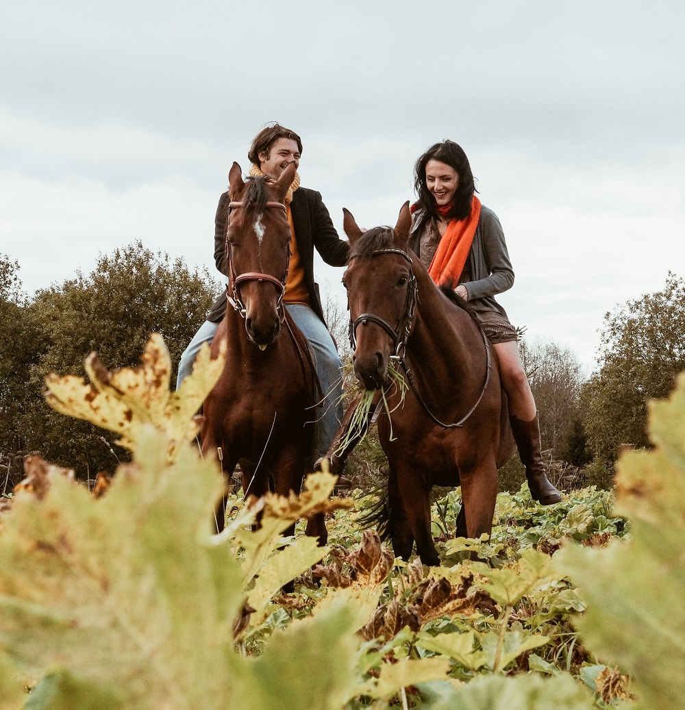 Horse Riding for Beginners & Families